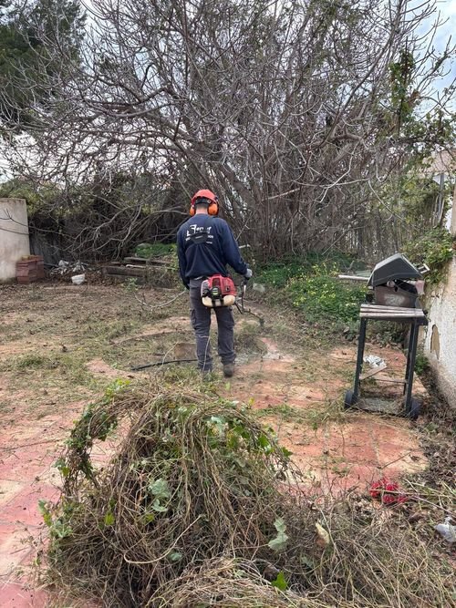 Desbroce de una parcela con desbrozadora de mochila